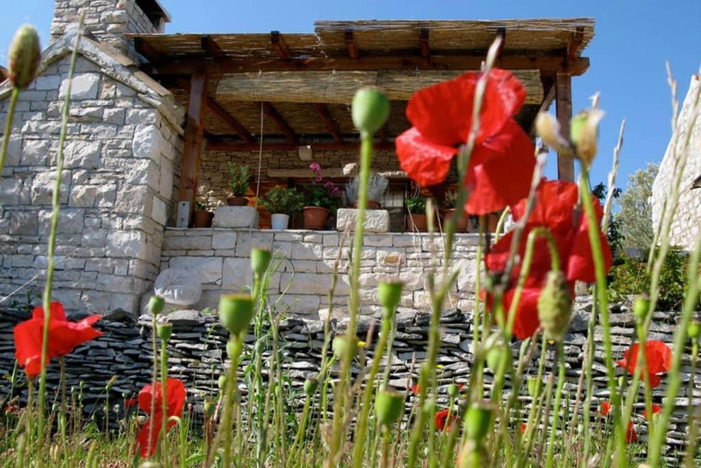 Holiday Home Tania Vela Luka Esterno foto